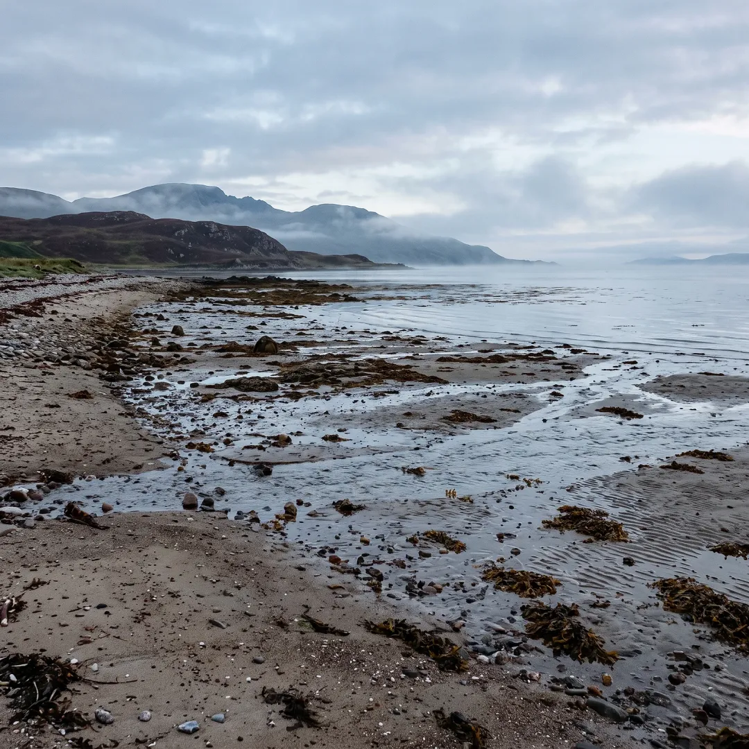 A quiet shoreline at low tide in pale morning light, nothing moving but slow water. AI-generated image.