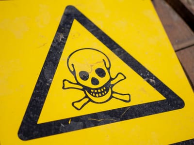 The Hidden Dangers of Seed Oils, Food Dyes, and GMOs: How They’re Wrecking Your Health