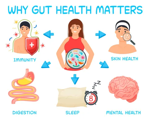 Gut Microbiome and Health: Exploring the Role of Gut Health in Wellness