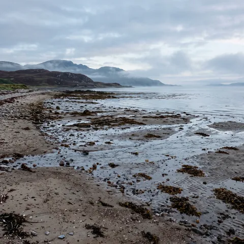 A quiet shoreline at low tide in pale morning light, nothing moving but slow water. AI-generated image.